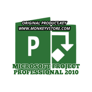 Microsoft Project Pro 2010